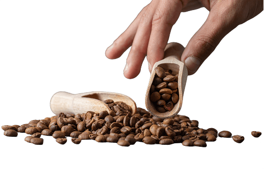 Mão despejando grãos de café